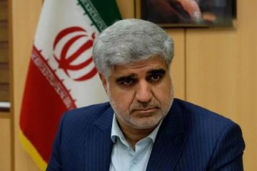 پیگیری موضوع پدیده وارونگی هوا و آلودگی شهر تهران با جدیت ادامه دارد/نانوایی‌ها مشکل مهمی ندارند