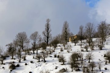 شهرستان سراب در آذربایجان شرقی با دمای منفی ۶ درجه سانتیگراد سردترین شهر کشور شد