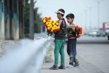 کودکان گل‌فروش بهشت زهرای تهران بچگی را فراموش کرده و دنبال کسب درآمد شده اند