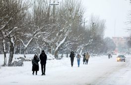 مدارس، دانشگاه‌ها و ادارات استان کرمانشاه در روز یکشنبه تعطیل شد