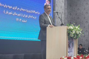 معاون اجرایی رئیس‌جمهور: جو روانی بر بازار ما حاکم شده است