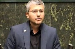 لایحه جامع حمایت از ایرانیان خارج از کشور نگرانی ها را رفع می کند