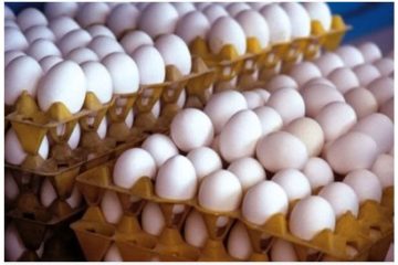 بهره برداری از  واحد بسته‌بندی تخم مرغ در گرمسار با قابلیت صادرات ۱۰ میلیون دلاری