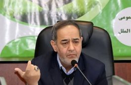 معاون وزیرجهاد کشاورزی خبر داد:آغاز خرید برنج از کشاورزان برای تنظیم بازار