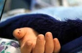 مرگ دختر قزوینی بر اثر برق گرفتگی