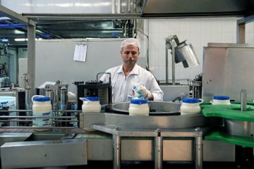 افزایش تا ۳ برابری نرخ نهاده های دامی موجب گرانی مجدد شیرخام شد