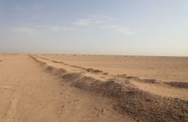 طرح بیابانزدایی سراجه قم با پساب فاضلاب اجرایی می شود