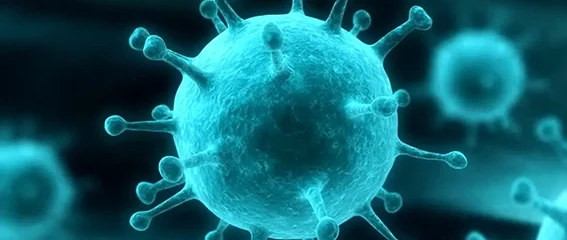 روند شیوع ویروس آنفلونزا در کشور تا اردیبهشت ماه سال آینده ادامه دارد