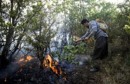 احتمال آتش‌سوزی‌ در جنگل‌های مازندران به دلیل افزایش دمای هوا