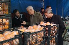 غرفه‌های عرضه میوه از سوی بازرسان گشت‌های مشترک نظارتی ویژه نوروز رصد می‌شود