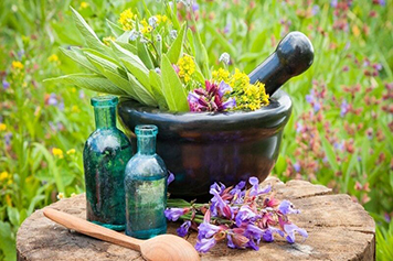 آینده روشن توسعه اراضی تحت کشت گیاهان دارویی در زنجان