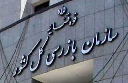 سازمان بازرسی کل کشور برای ساماندهی بازار خودرو  وارد شود