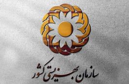 ۲ هزار و ۸۱ خانوار نیازمند جدید تحت پوشش بهزیستی شناسایی شد