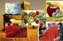 ۱۹۹ پروژه صنایع تبدیلی و غذایی همزمان با هفته دولت به بهره برداری می رسد