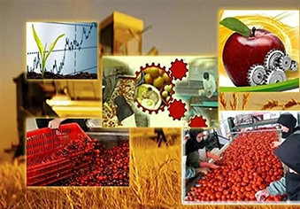 ۱۹۹ پروژه صنایع تبدیلی و غذایی همزمان با هفته دولت به بهره برداری می رسد
